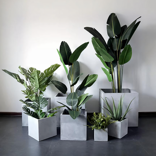 MI50 Plant Stands, More Size Available